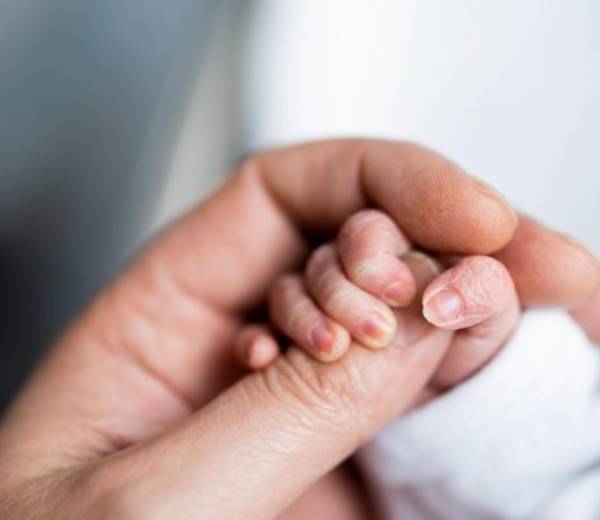 Endometriosis and Reproductive Surgery Unit