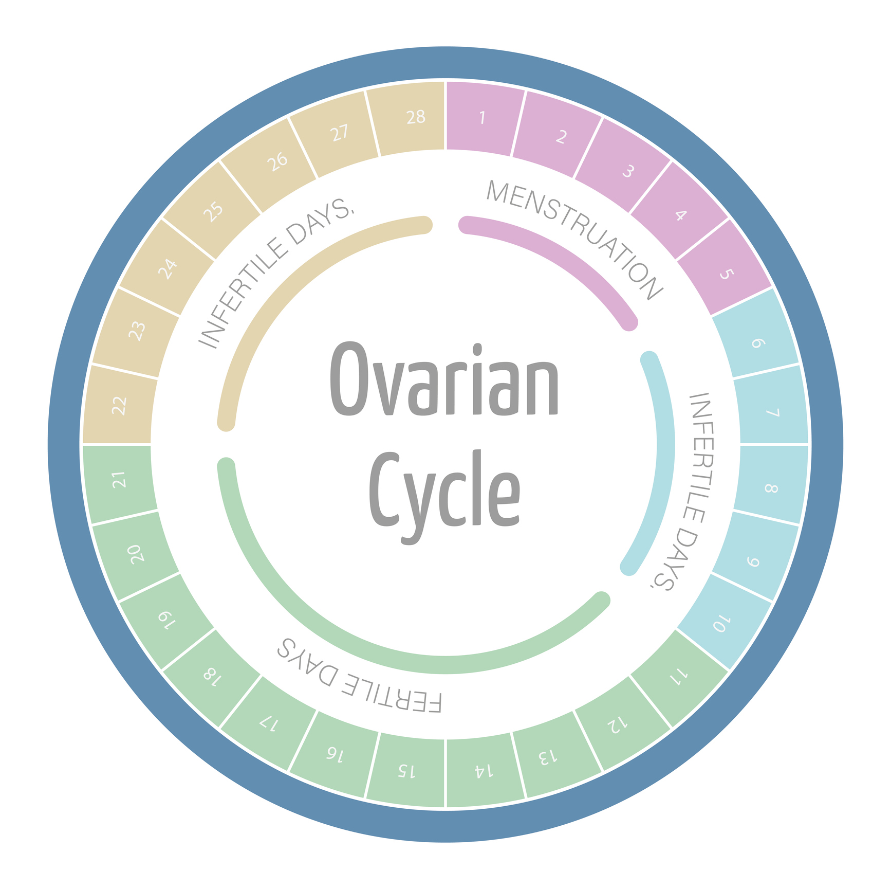 Ovulation Calculator: Know what is the best time to get pregnant - MyHealth